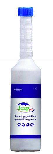 Icap Gel
